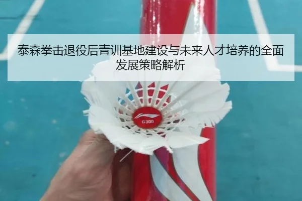 泰森拳击退役后青训基地建设与未来人才培养的全面发展策略解析